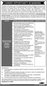 The Bank of Punjabs Jobs 2025