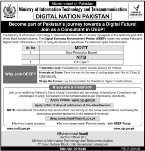 Ministry of IT Jobs 2025