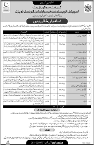 Cabinet Secretariat Jobs 2025 – Apply Online for SIFC Division Vacancies | Government of Pakistan Careers
